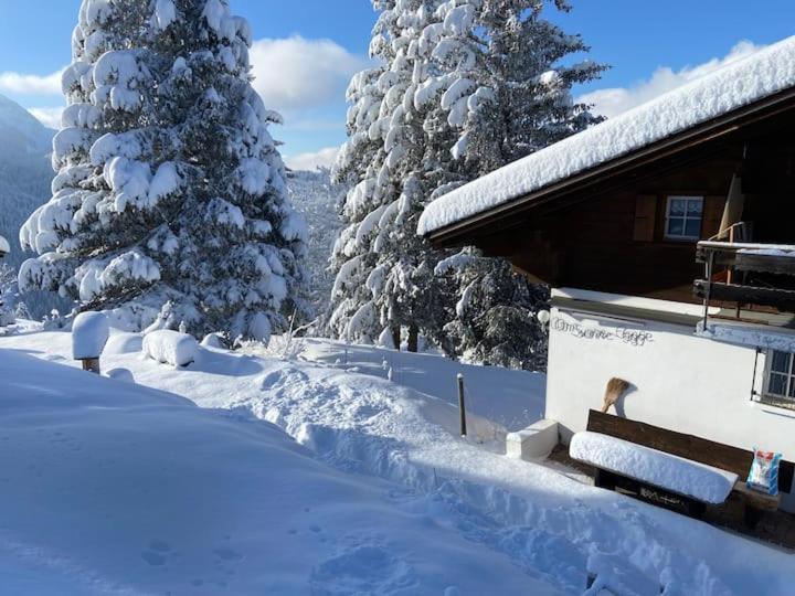 Chalet Am Sunne-Egge Auf Axalp Bei Brienz Экстерьер фото