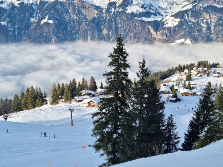 Chalet Am Sunne-Egge Auf Axalp Bei Brienz Экстерьер фото