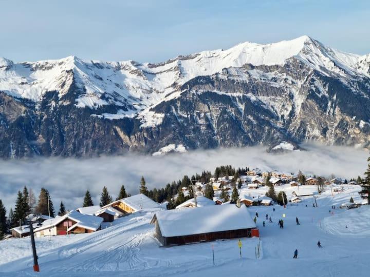 Chalet Am Sunne-Egge Auf Axalp Bei Brienz Экстерьер фото